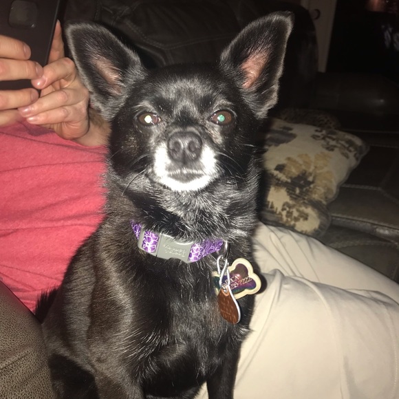 🧿LOOK!!!👀Closet Liquidation!!!⭐️💸 - Picture 5 of 8